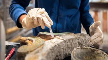 Concorso Tecnici del Restauro